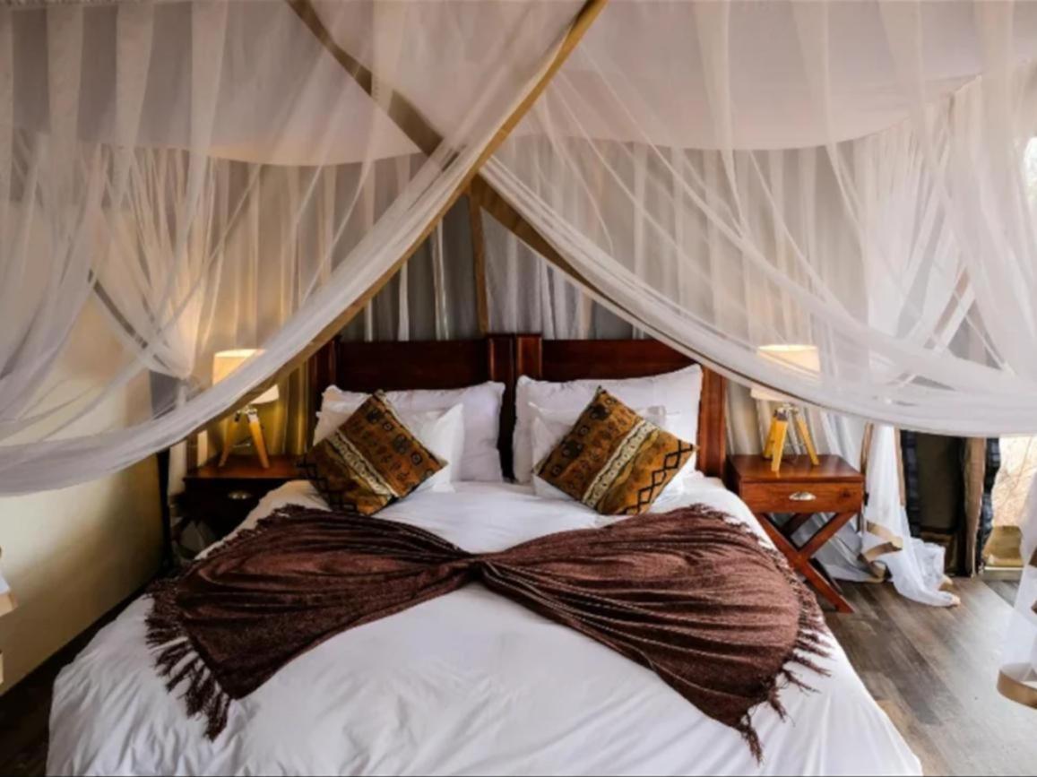 Honeyguide Tented Safari Camps - Mantobeni Manyeleti Game Reserve Room photo